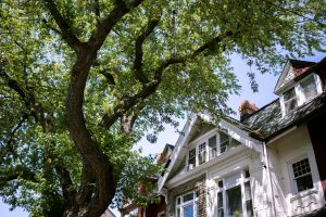 Home with Mature Trees